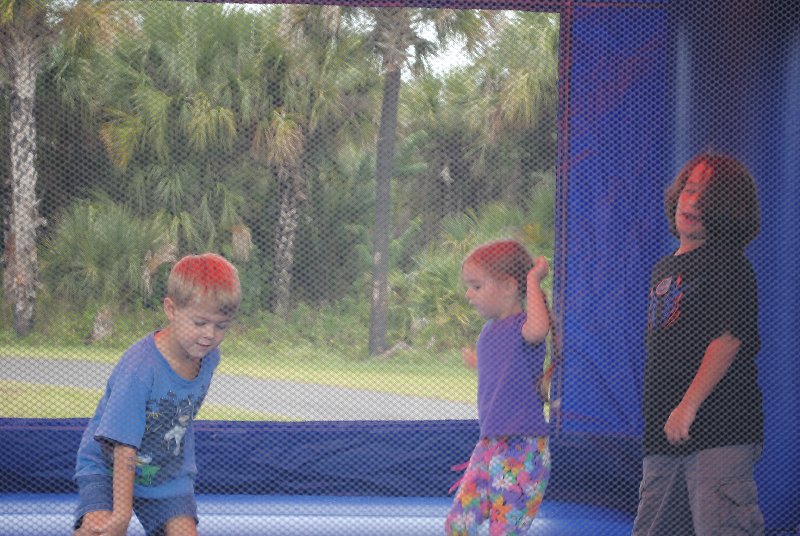 Ariel Turns Four - 2011