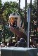 Thumb for DSC_0148.JPG (71 
KB)